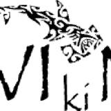 Tauchschule DivingViking - Professional Services in Heidelberg