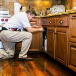 J&J Exterminating Alexandria - photo 1