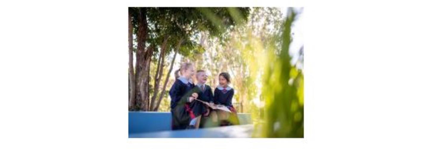 Springfield Anglican College cover photo