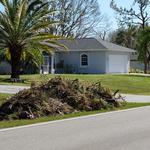 Florida Junk Pros - photo 5