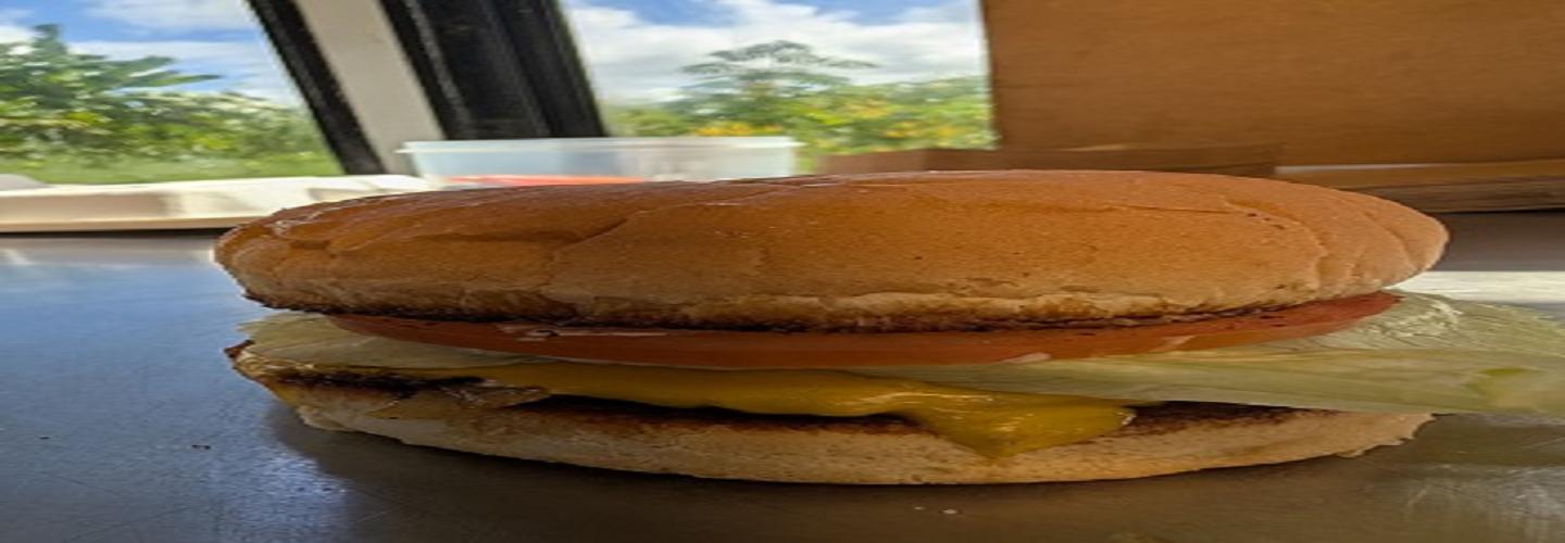 The Burger Bus cover photo