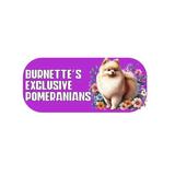Burnette's Exclusive Pomeranians - Pet Stores in Silver City