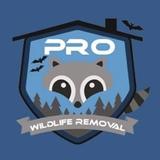 Pro Wildlife Removal - Pest Control in Trinity