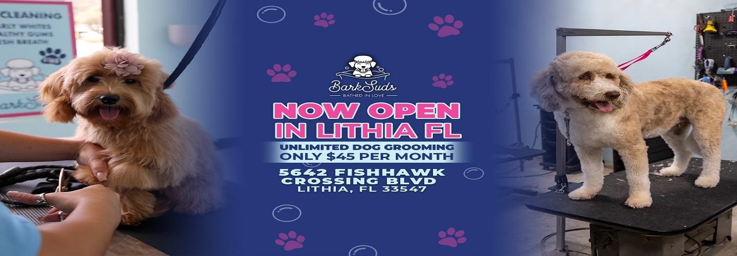 Fishhawk Barksuds  cover photo