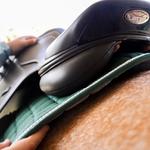 Greg Grant Saddlery - photo 2