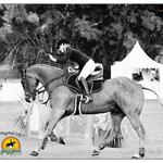 Greg Grant Saddlery - photo 4