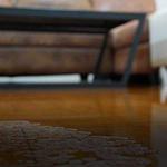 First Restoration America - photo 7