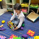 Brainy Teddy Preschool and Daycare  - photo 1