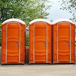 Omega Portable Toilet Rentals - photo 1