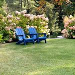 Maine Outdoor Spaces - photo 6