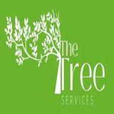 The Tree Services Toronto - Tree Services in Toronto