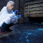 Asbestos Removal Whitsundays - photo 1