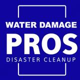 Burien Water Damage Pros - Waste Removal Services & Management in Burien