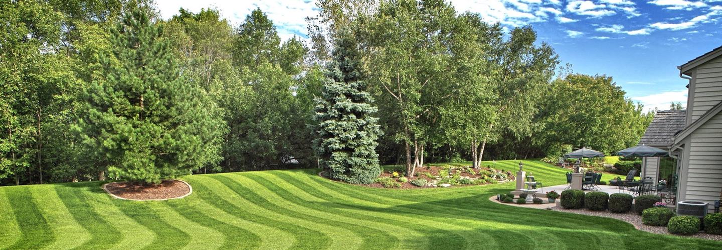 Green Escapes Lawn & Landscape cover photo