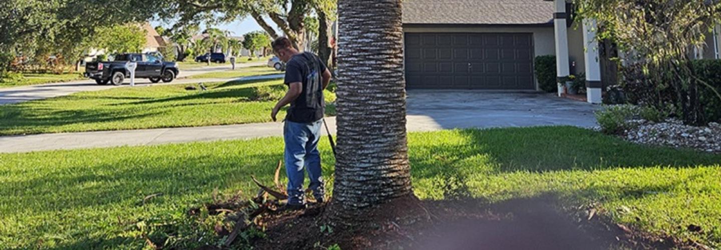 A Force of Nature Tree Service LLC cover photo