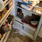 Bio-One of El Paso - photo 1