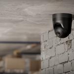 Ninja Asset Protection - photo 2