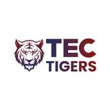 TecTIgers - IT Services & Computer Repair in Sheridan