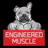 Engineered Muscle Europe - Gyms in Belfast