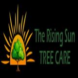 The Rising Sun Tree Care