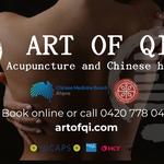 Art of Qi - photo 4