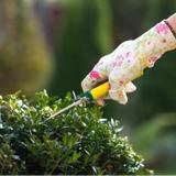 Stump Grinding London - Landscaping in Morrison