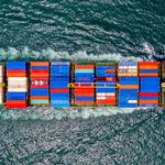 CFFWORLD TRANSPORT - photo 8