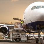 CFFWORLD TRANSPORT - photo 10