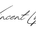 Vincent Lyon PA - photo 5