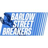 Barlow Street Auto Salvage - Automotive in Manchester