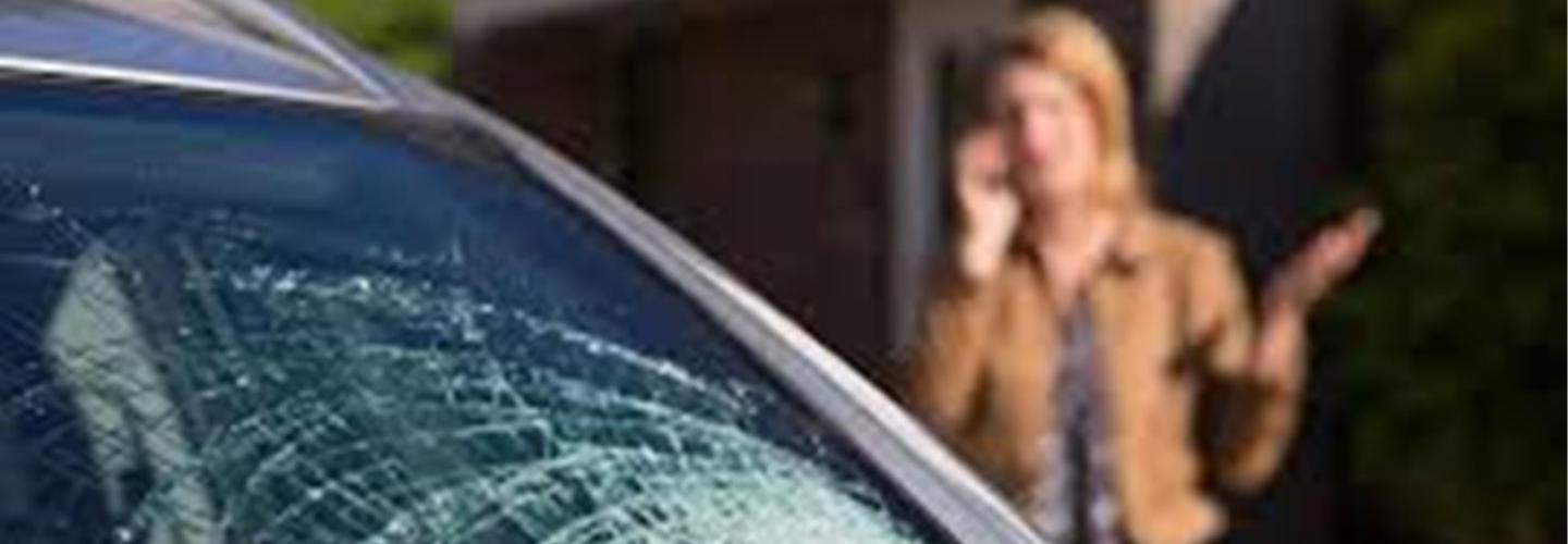 Safe Guard Windshields cover photo