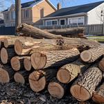 Roubic Tree Service LLC - photo 2