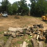 Roubic Tree Service LLC - photo 6