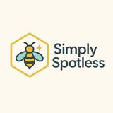 Simply Bee Spotless LLC - Home Cleaning in Alva