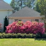 Morgan Restore of Florence - photo 9