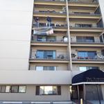 All The Right Moves - photo 5