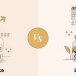 Model Reef - photo 6