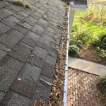 Sandpiper Softwash - photo 4