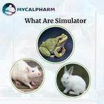 mycalpharm - photo 2