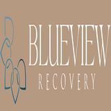 Blueview Recovery | Drug & Alcohol Rehab PA - Health & Medical in King of Prussia