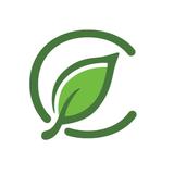 Curaleaf NJ Bellmawr Dispensary - Cannabis Dispensaries in Bellmawr