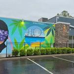 Curaleaf NJ Bellmawr Dispensary - photo 3