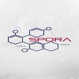 SPORA LLC - Damage Restoration in New Port Richey