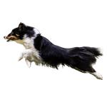 Agility Hub - photo 1