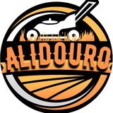 Alidouro - Lawn Mowers in San Antonio