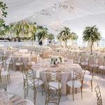 Chairs and Table Rentals - photo 4