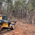 Tactical Trees - photo 4