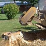 Parsons Tree Services LLC - photo 1