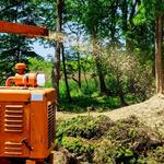 Parsons Tree Services LLC - photo 2