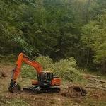 Parsons Tree Services LLC - photo 3